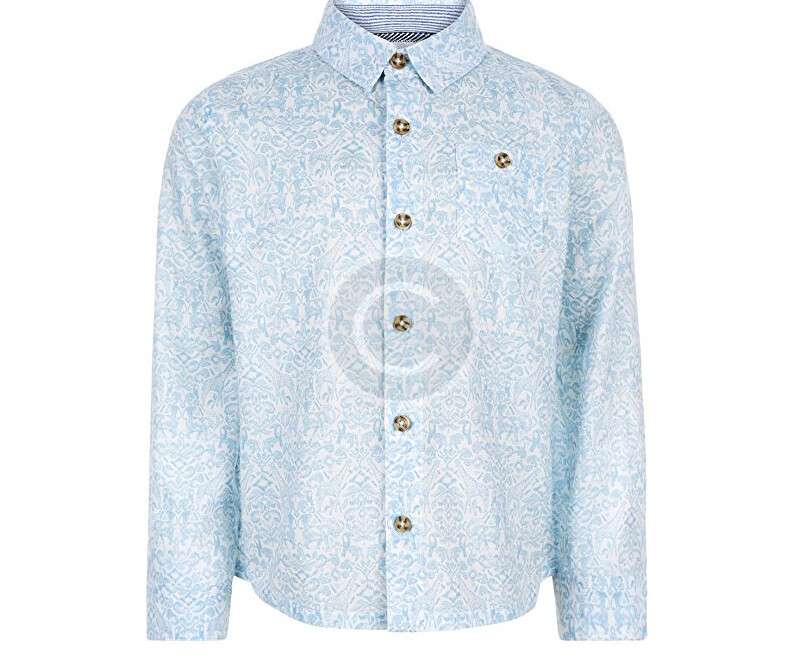 Planchado Profesional